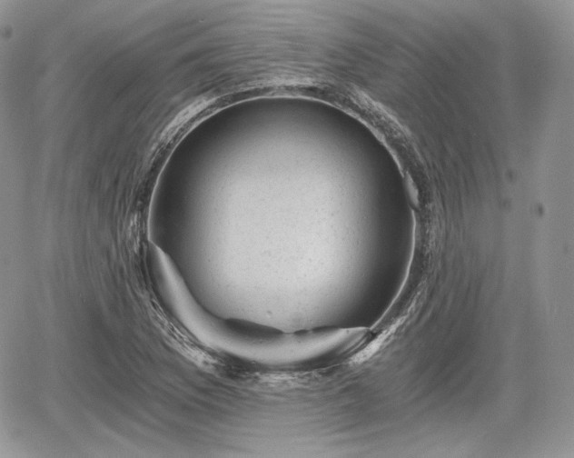 X0000068281169200604241225