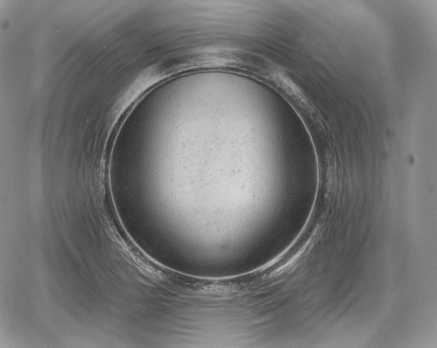 X0000068281178200604241225