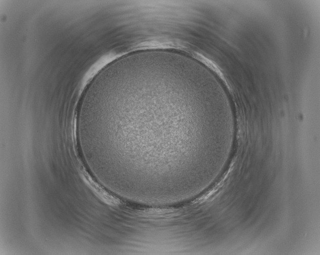 X0000068281179200604241225