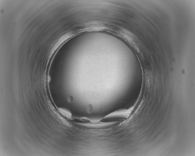 X0000068281186200604241225