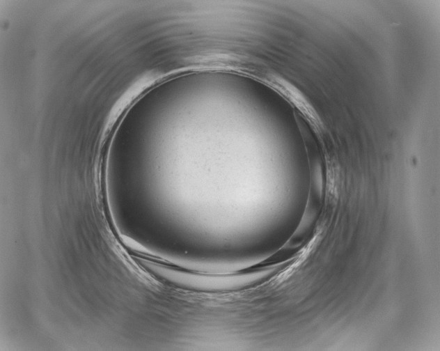 X0000068281196200604241225