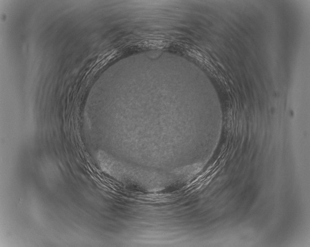 X0000068281201200604241224