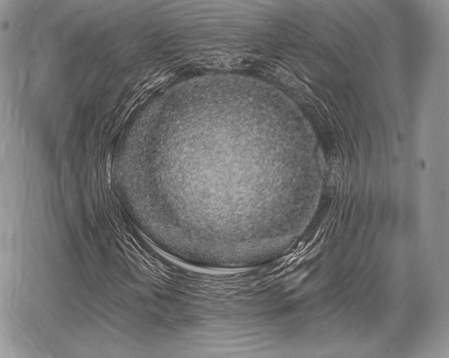 X0000068281202200604241224