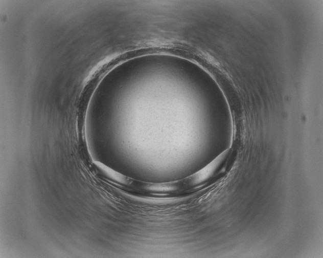 X0000068281214200604241224