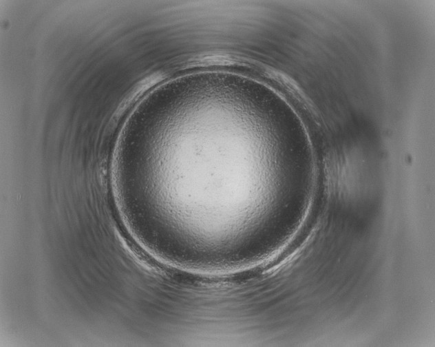X0000068281225200604241224