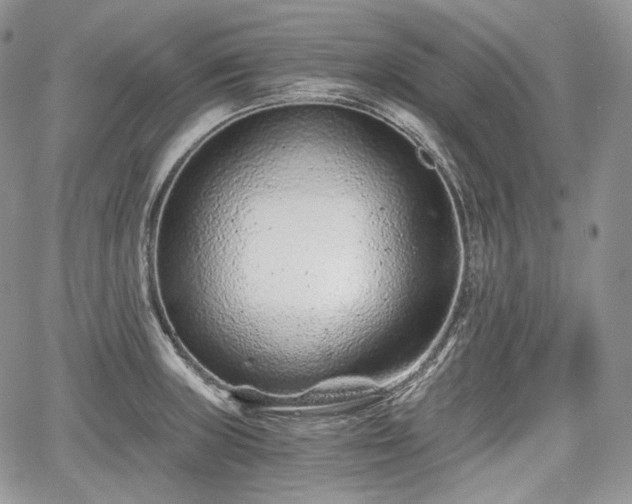 X0000068281235200604241224