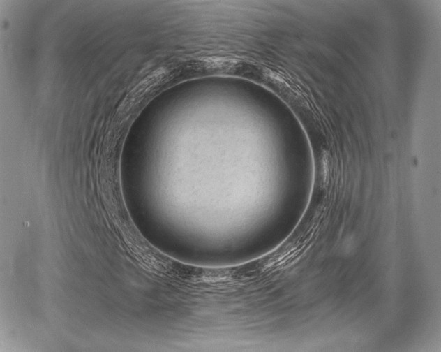 X0000068281249200604241224
