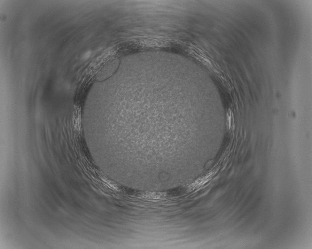 X0000068281251200604241224