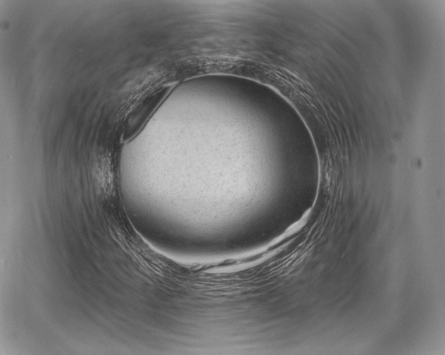 X0000068281252200604241224