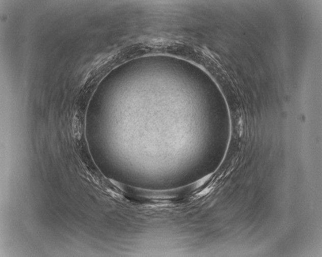 X0000068281253200604241224
