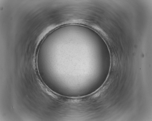 X0000068281278200604241223