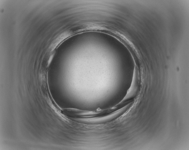 X0000068281281200604241223