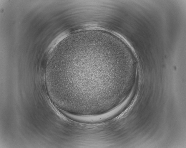 X0000068281289200604241223