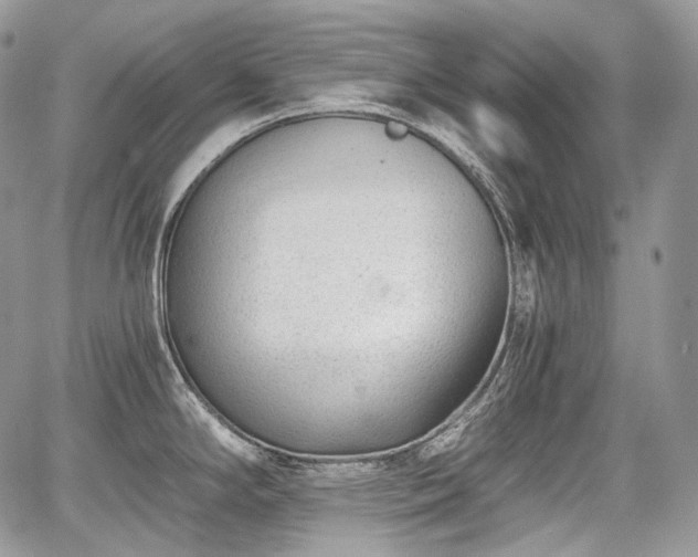 X0000068281294200604241223