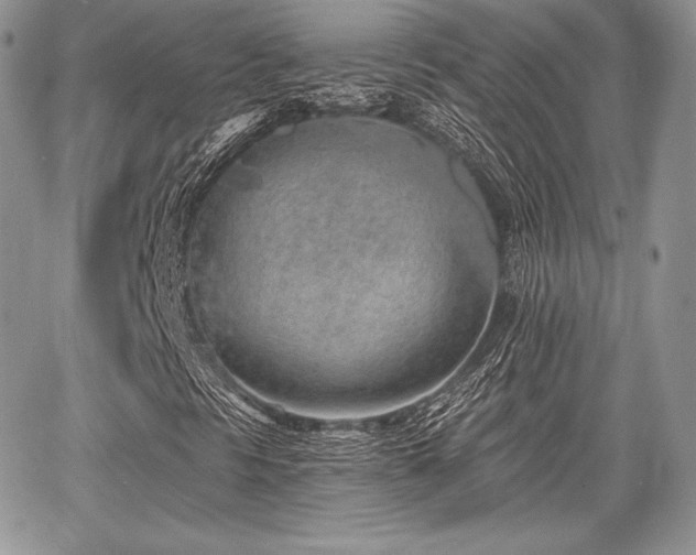 X0000068281297200604241222