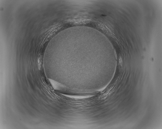 X0000068281300200604241222