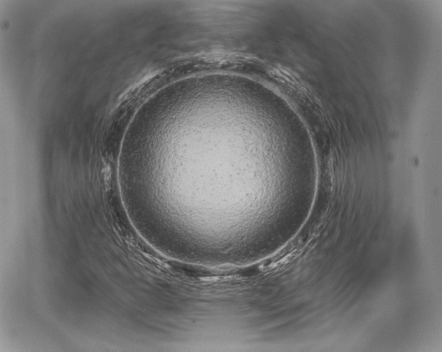 X0000068281302200604241222