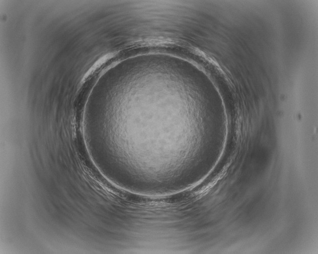 X0000068281306200604241222