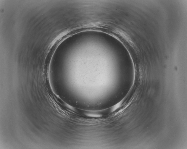 X0000068281308200604241222