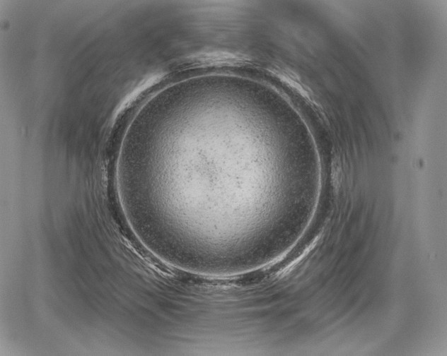 X0000068281309200604241222
