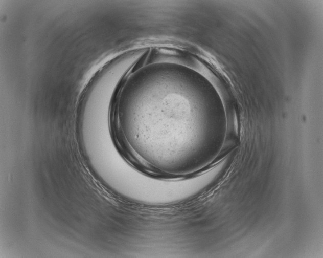 X0000068281312200604241222