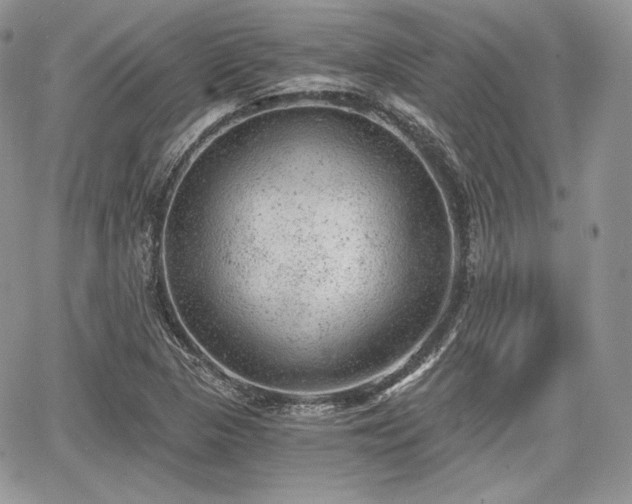 X0000068281313200604241222