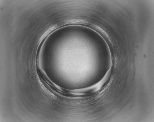 X0000068281330200604241223
