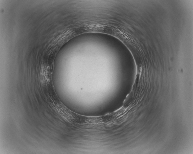 X0000068281346200604241222