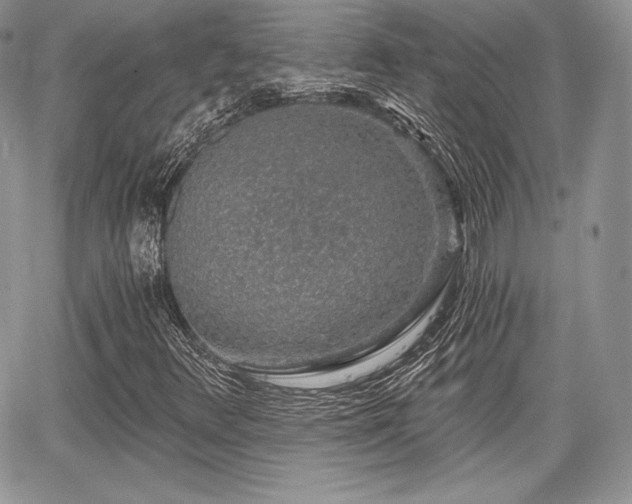 X0000068281348200604241222