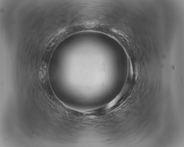 X0000068281349200604241222