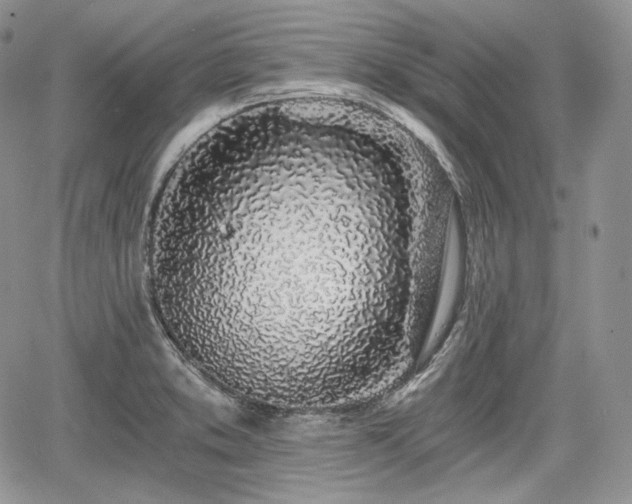 X0000068281373200604241222