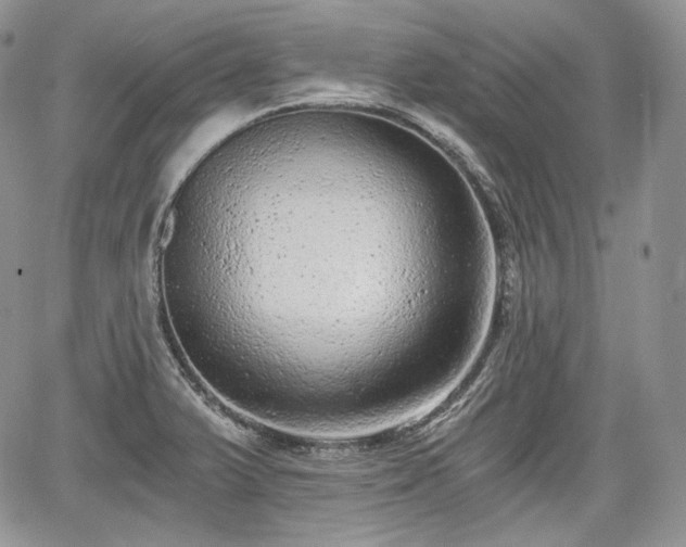 X0000068281375200604241222