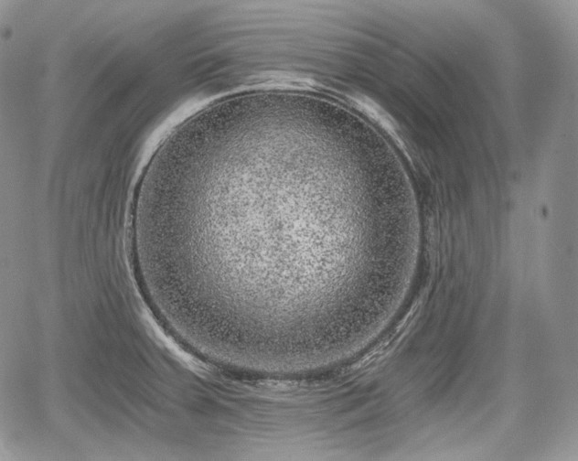 X0000068281379200604241222