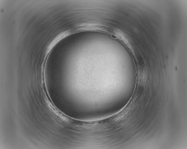 X0000068281386200604241222