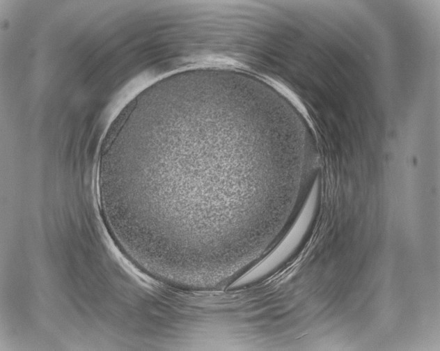 X0000068281391200604241221