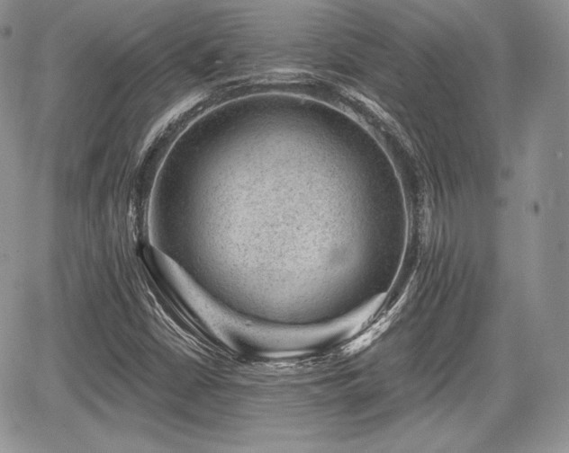 X0000068281402200604241221