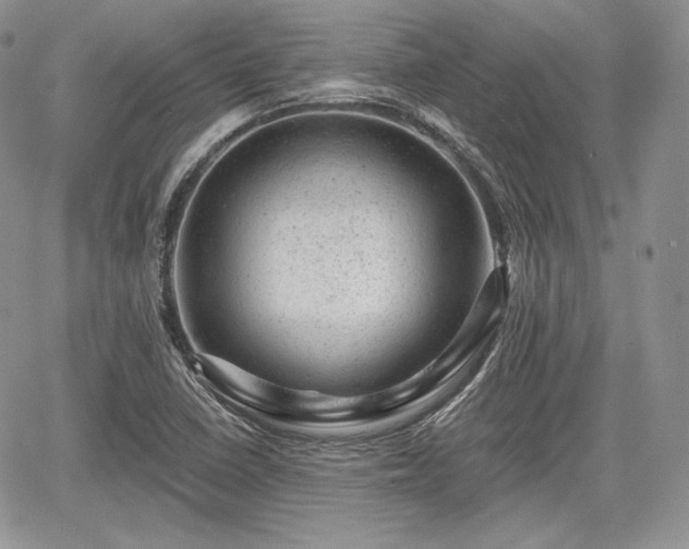 X0000068281410200604241221