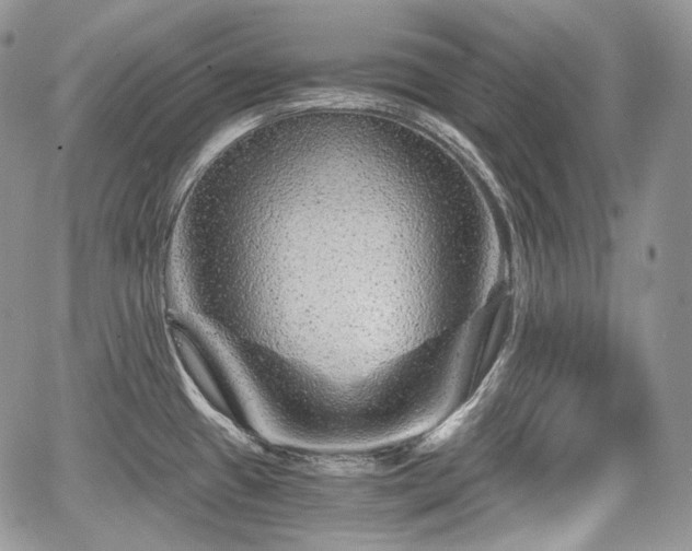 X0000068281433200604241221
