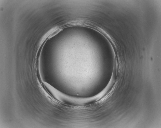X0000068281434200604241221