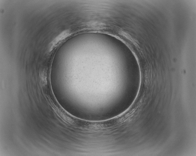 X0000068281451200604241220