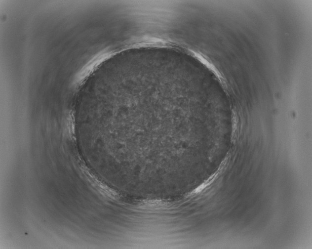 X0000068281455200604241220