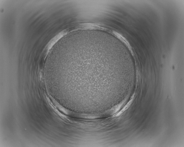 X0000068281481200604241220