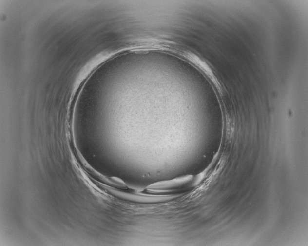 X0000068281485200604241220