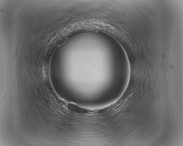 X0000068281490200604241219