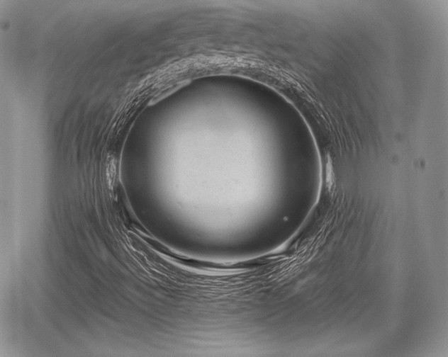 X0000068281492200604241219
