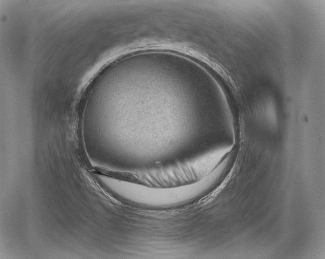 X0000068281502200604241219