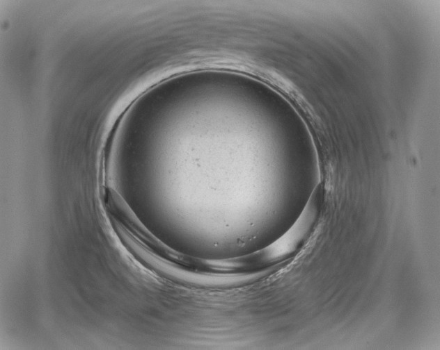 X0000068281520200604241220