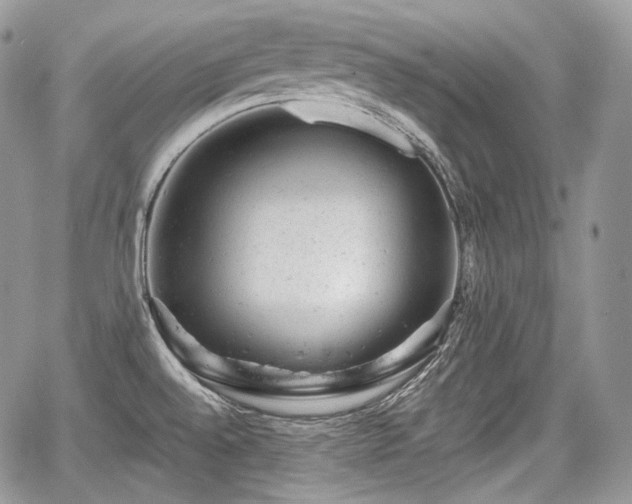 X0000068281528200604241220