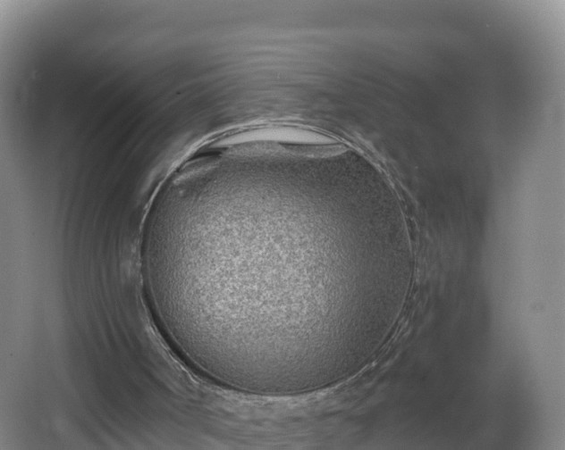 X0000068280002200604281630