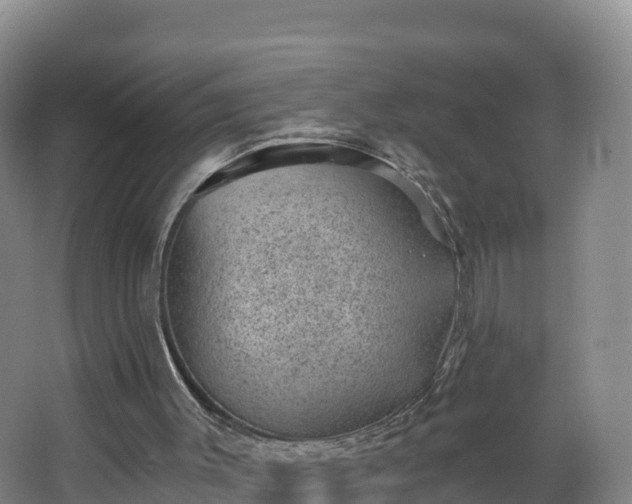 X0000068280003200604281630